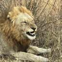 Company profile image