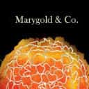 Company profile image