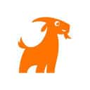 Company profile image