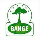 Company profile image