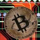 Company profile image