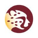 Company profile image