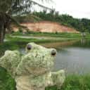 Company profile image