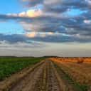 Company profile image