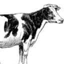 Company profile image