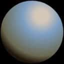 Company profile image